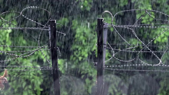 暴雨和带刺铁丝网视频素材