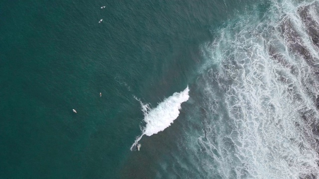 鸟瞰图的冲浪者骑在海浪上的海洋视频素材