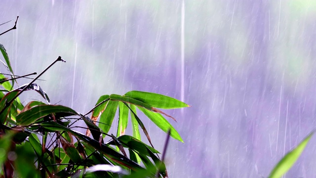 有拷贝空间的暴雨视频素材