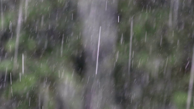 雨落视频素材