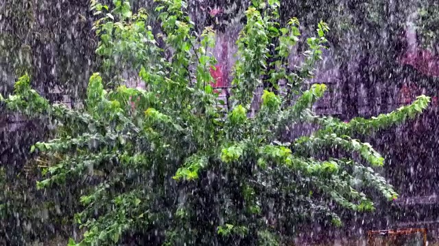 大雨及自然灾害视频素材