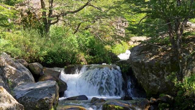 鹤射山涧河流，在石头、松树和绿色植物之间流动。UHD视频素材