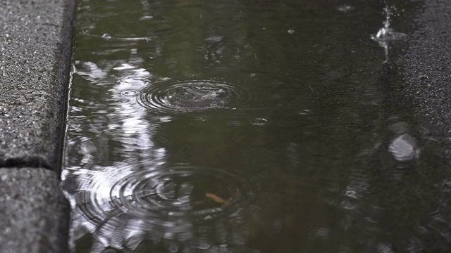 路边雨水坑水视频素材