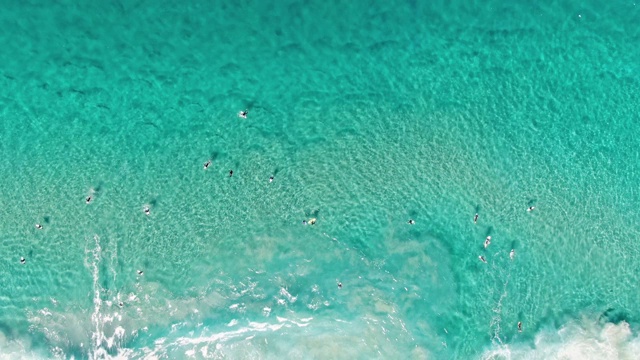 令人惊叹的动态4k空中鸟瞰冲浪者在世界著名的邦迪海滩，悉尼，新南威尔士州，澳大利亚等待良好的海浪。蓝绿色的水和美丽的图案。视频素材