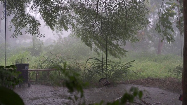 热带降雨期间的绿色丛林全景。绿色的丛林树和棕榈树，雾和热带雨。空秋千从风移动视频素材