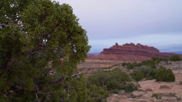 美国犹他州的黑龙峡谷，初春时节。静态相机，从前景到背景对焦架视频素材