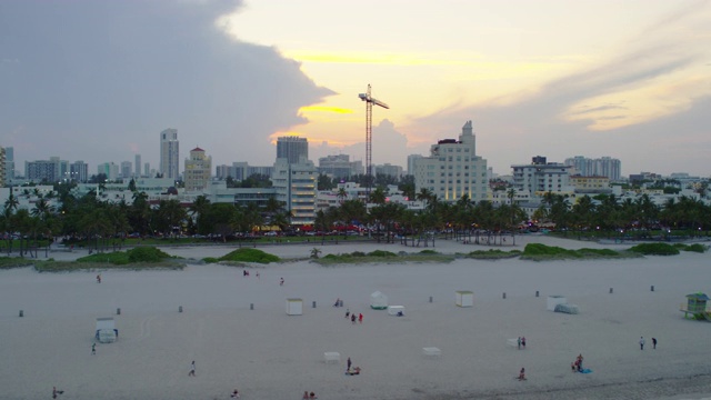 迈阿密海滩的建筑物和棕榈树鸟瞰图视频素材