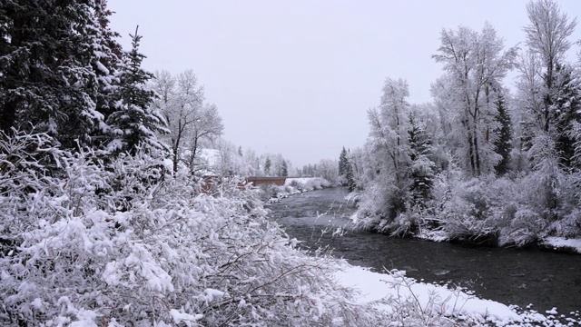 河流在科罗拉多山脉的森林里下雪。全景相机运动。视频素材