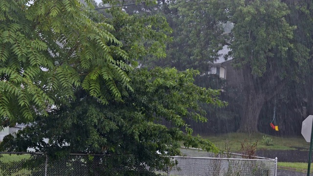 绿色的植物在下雨的时候非常强，夏雨在路上形成了水流。视频素材