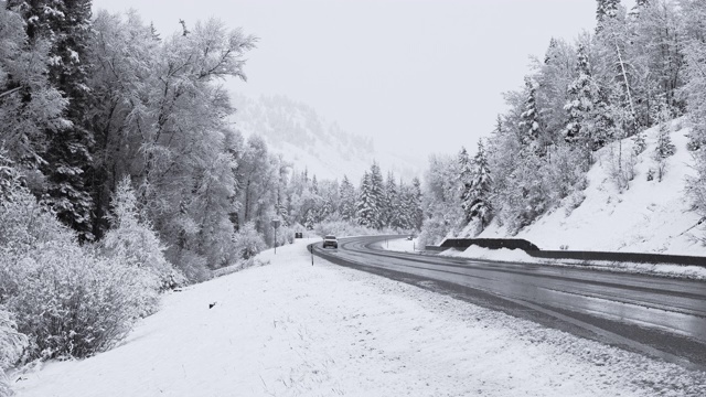 大雪中在科罗拉多州的高速公路上危险驾驶视频素材