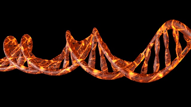 DNA代码。摘要三维多边形线框DNA分子螺旋。循环动画。视频素材