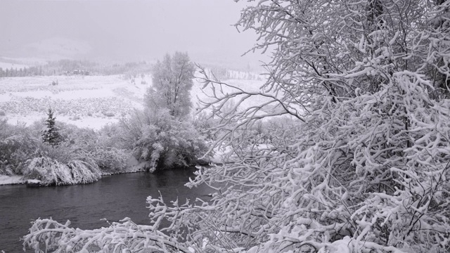 河流在科罗拉多山脉的森林里下雪。相机的变焦效果。视频素材