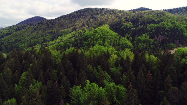 飞越山林上空视频素材