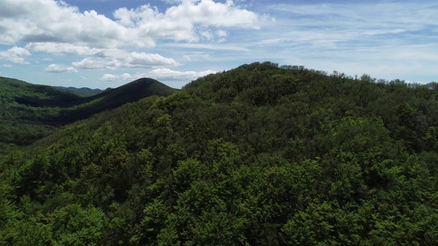 近海夏季青山鸟瞰图视频素材