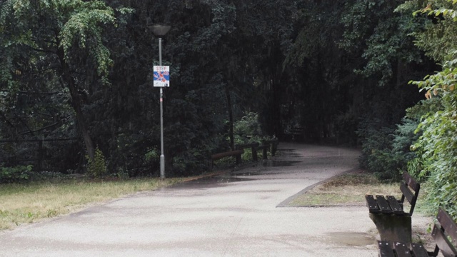 雨后公园路视频素材