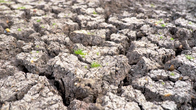 气候变化、干旱灾害、全球变暖中干裂土地的慢镜头视频素材