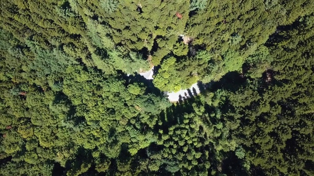 穿过森林的道路鸟瞰图视频素材