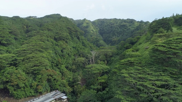 无人机拍摄的塔希提岛的青山。——延时视频素材