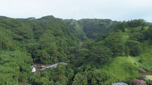 无人机拍摄的塔希提岛的青山。——延时视频素材