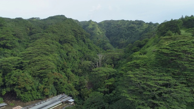 无人机拍摄的塔希提岛的青山。——延时视频素材