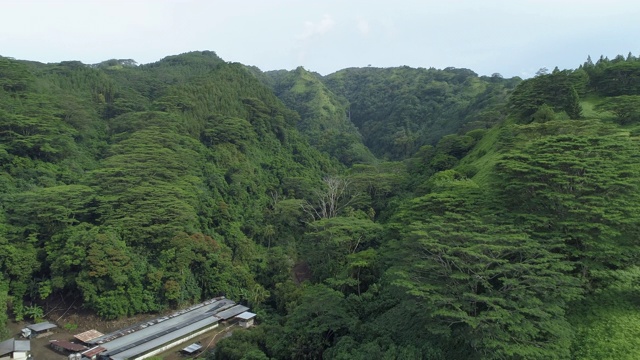 无人机拍摄的塔希提岛的青山。视频素材