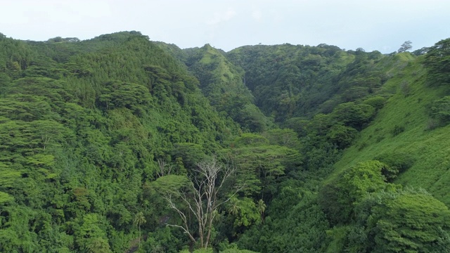 无人机拍摄的塔希提岛的青山。视频素材