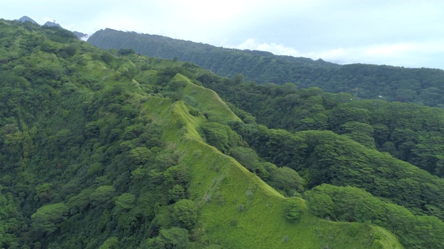 无人机拍摄的塔希提岛的青山。视频素材