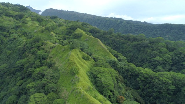 无人机拍摄的塔希提岛的青山。视频素材