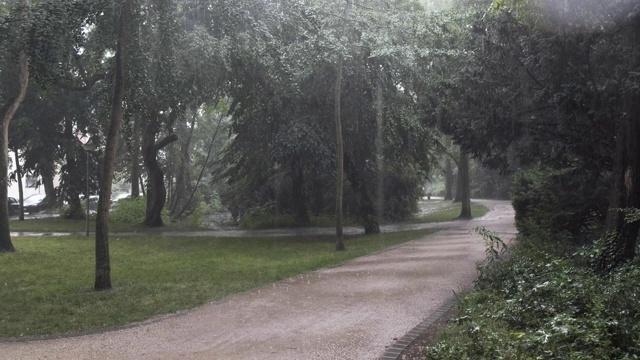 城市公园的夏季降雨视频素材