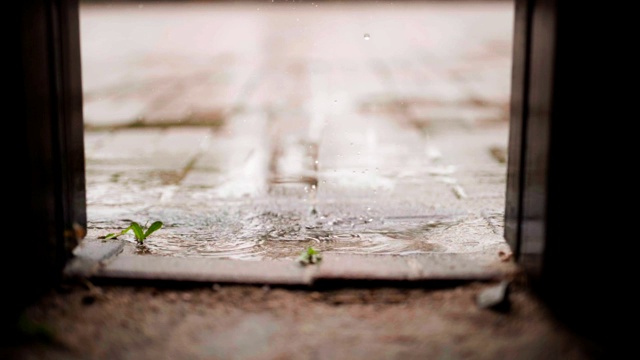 全高清慢镜头春季和雨季活动概念，从美丽和新鲜的位置，雨点在古老的砖地板上的花园，小树木和软焦点背景视频素材