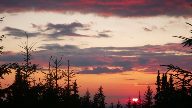 山景夕照松林视频素材