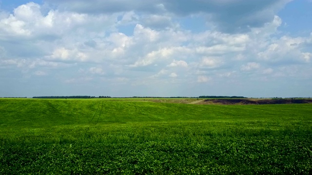 无人机在绿地上空飞行。乌克兰视频素材