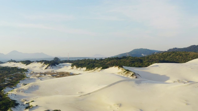 Praia Da Joaquina的沙丘和植被视频素材