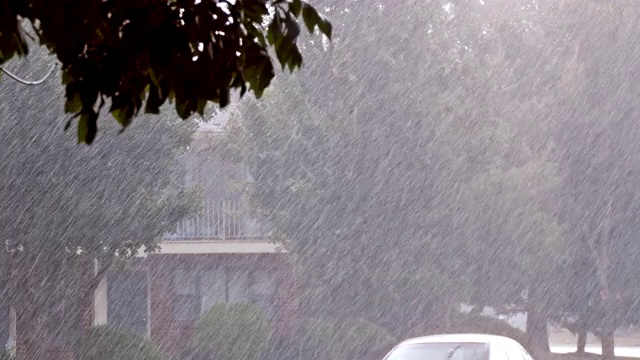 大雨浇过绿树落叶，夏季暴雨倾盆视频素材