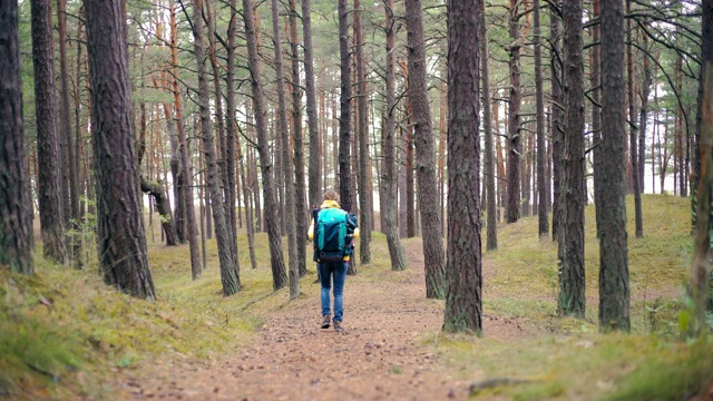 一个快乐的女人背着旅游背包在秋天的森林里散步。视频素材