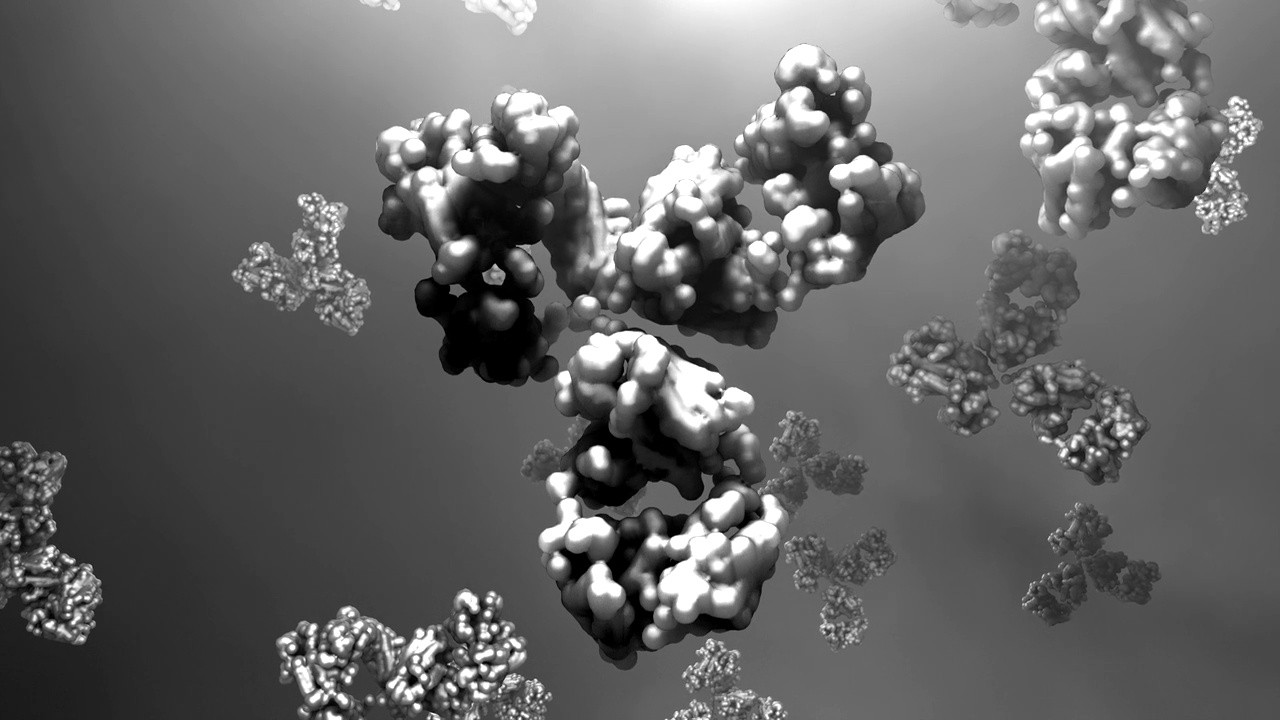 抗体可以抵抗微生物视频素材