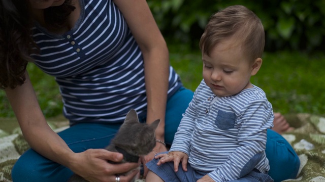 妈妈带着孩子和小灰猫在花园里玩。视频下载