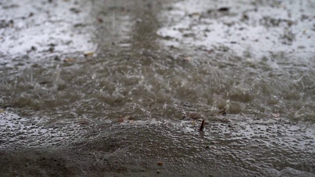 热带降雨期间的绿色丛林全景。绿色的丛林树和棕榈树，雾和热带雨。空秋千从风移动视频素材