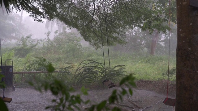 热带降雨期间的绿色丛林全景。绿色的丛林树和棕榈树，雾和热带雨。空秋千从风移动视频素材