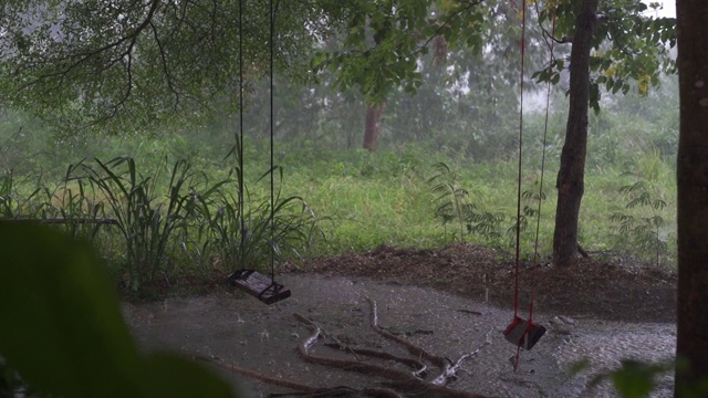 热带降雨期间的绿色丛林全景。绿色的丛林树和棕榈树，雾和热带雨。空秋千从风移动视频素材