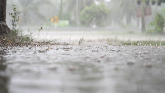 热带降雨期间的绿色丛林全景。绿色的丛林树和棕榈树，雾和热带雨。空秋千从风移动视频素材