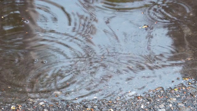 雨后，沥青路上的小水坑上泛起阵阵涟漪视频素材