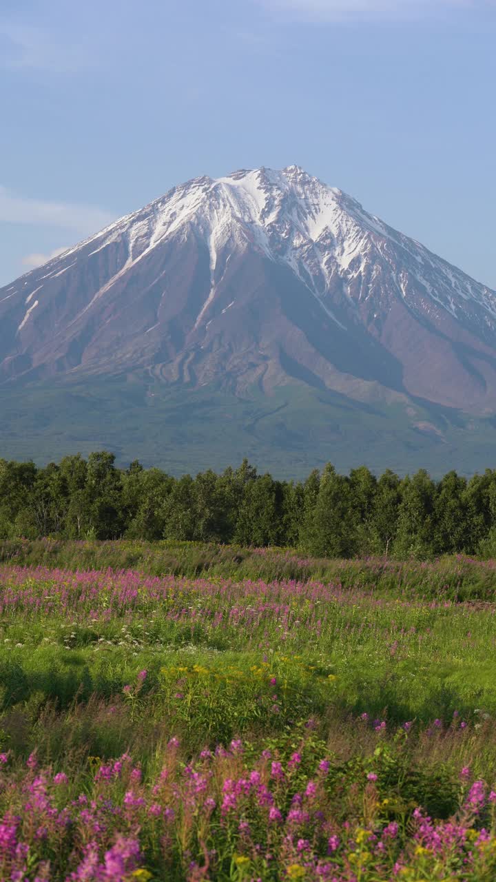 堪察加半岛的夏季山地景观，在俄罗斯远东的可里亚克斯基活火山锥。垂直拍摄，垂直格式视频视频素材