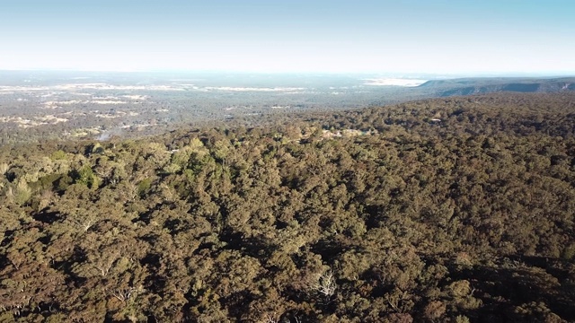 鸟瞰图的丛林在蓝山附近的博文山，Kurrajong和格罗斯谷视频素材