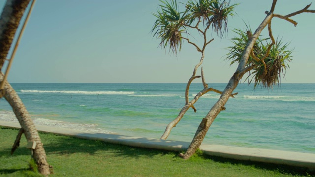 在深蓝的大海上冲浪的冲浪者。沙滩上有棕榈树和白沙视频素材