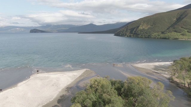 俄罗斯堪察加半岛的千岛湖风光和棕熊视频素材