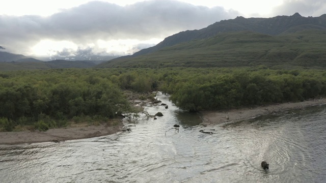 俄罗斯堪察加半岛的千岛湖风光和棕熊视频素材