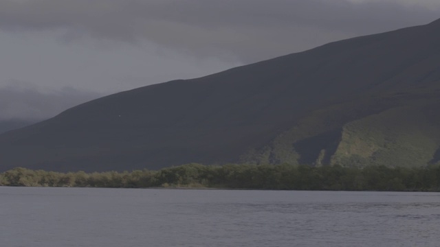 俄罗斯堪察加半岛的千岛湖风光和棕熊视频素材