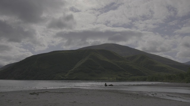 俄罗斯堪察加半岛的千岛湖风光和棕熊视频素材