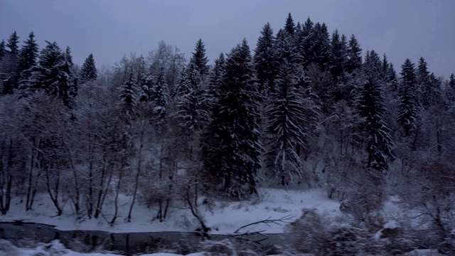 乘火车在雪地和树林里旅行视频素材